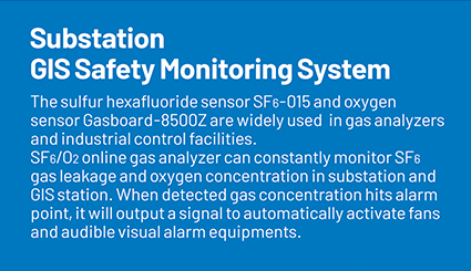 Safety Monitoring System